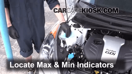 How to Add Coolant: Hyundai Veloster (2012-2017) - 2013 Hyundai